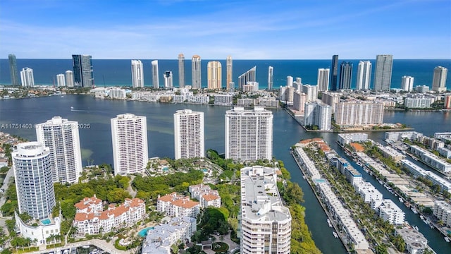 aerial view with a water view and a city view