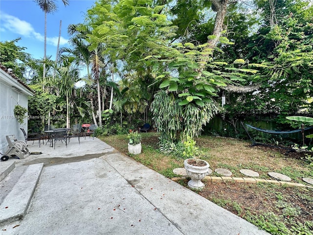 view of yard featuring a patio