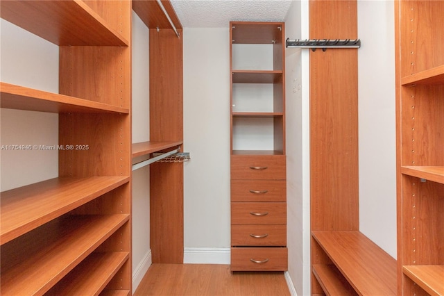 spacious closet featuring wood finished floors