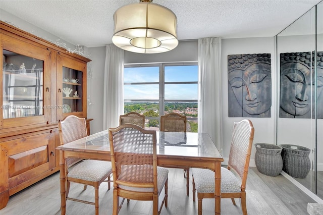 dining room with a textured ceiling and light wood-style flooring