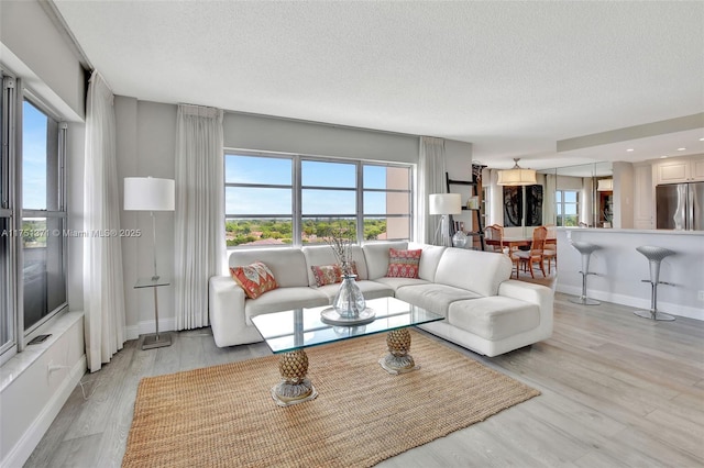 10777 W Sample Rd Unit 912, Coral Springs, FL 33065 - living area with a textured ceiling, light wood finished floors, and baseboards