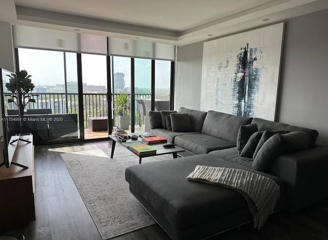 living area featuring a tray ceiling, a city view, and wood finished floors