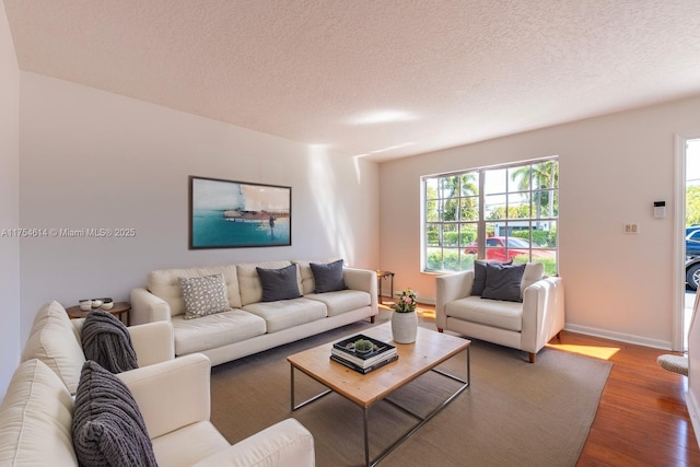 living room featuring baseboards, wood finished floors, and a textured ceiling