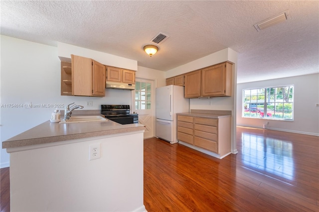 kitchen featuring black / electric stove, under cabinet range hood, a sink, open shelves, and freestanding refrigerator