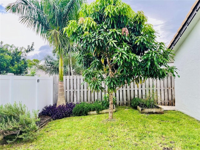 view of yard with fence