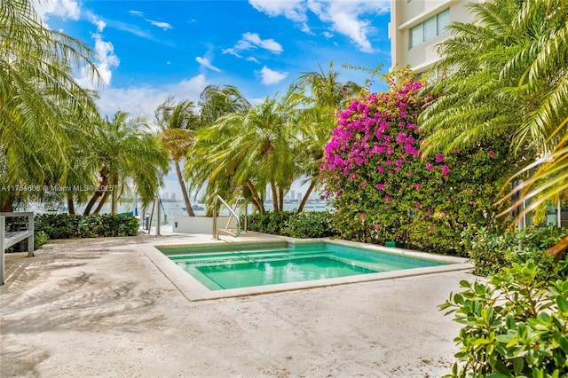 view of pool featuring a swimming pool and a patio area