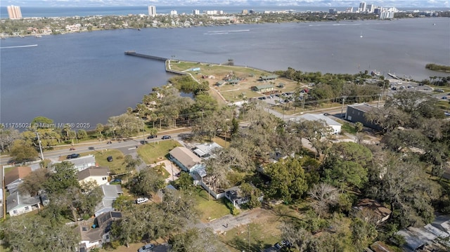 aerial view with a water view