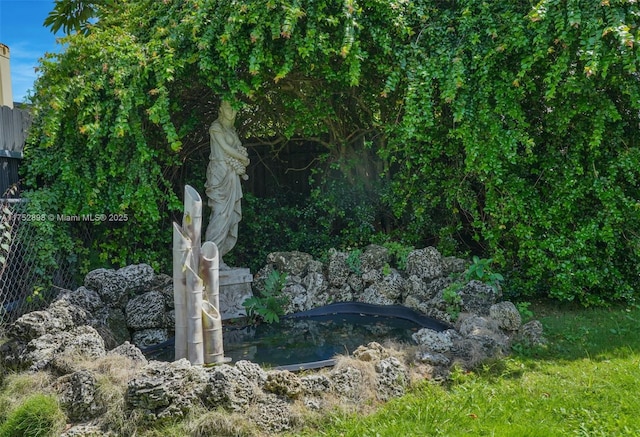 view of local wilderness