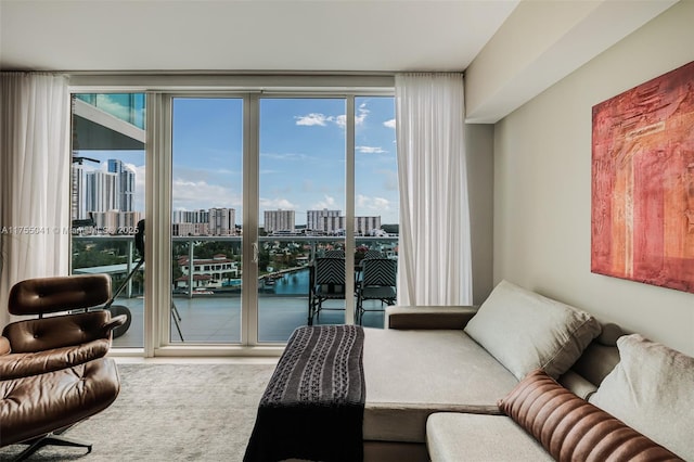 living area featuring a healthy amount of sunlight and a city view