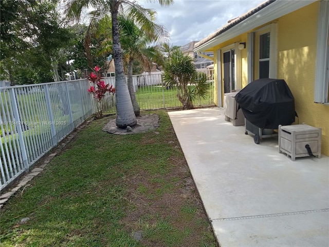 view of yard with a fenced backyard and a patio