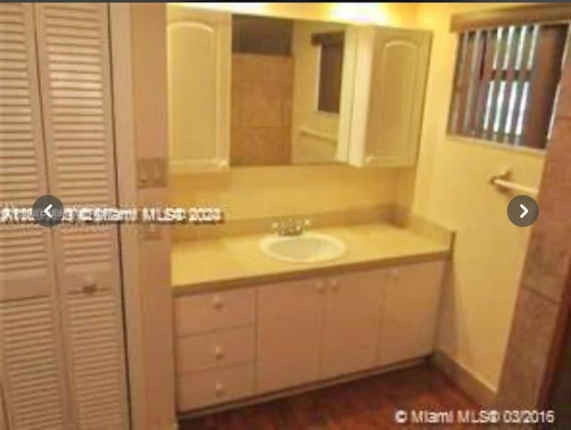 bathroom with wood finished floors and vanity