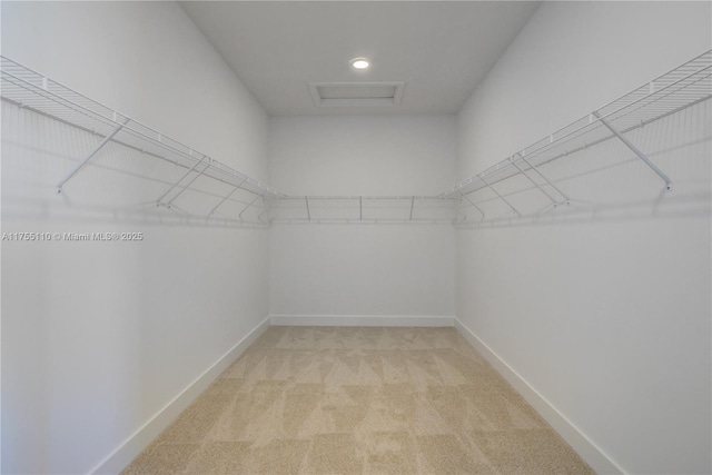 walk in closet with light carpet and attic access