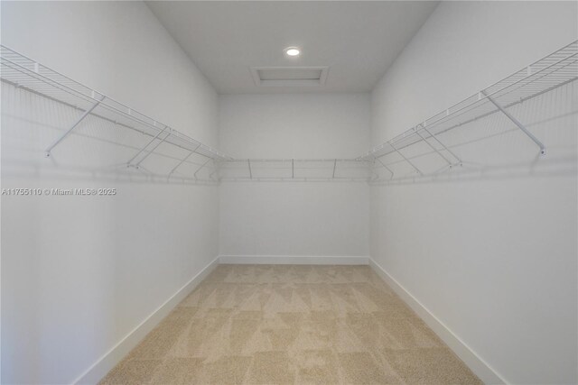 5007 Ofanto Ln, Ave Maria, FL 34142 - walk in closet featuring light carpet, attic access, and visible vents