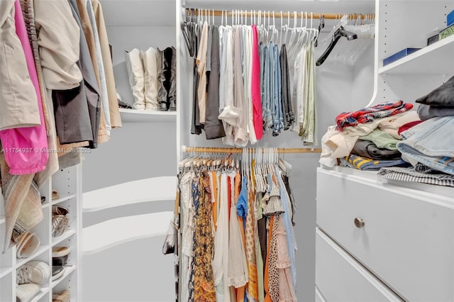 view of spacious closet