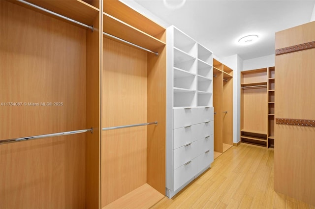 walk in closet with light wood finished floors