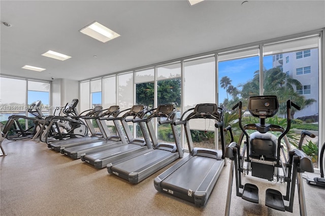 gym with expansive windows