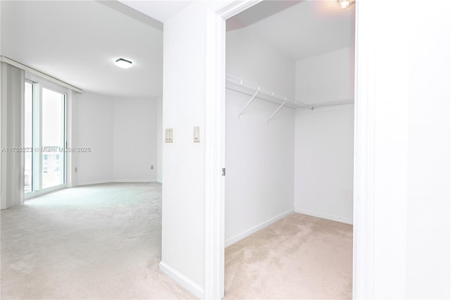 spacious closet with light colored carpet