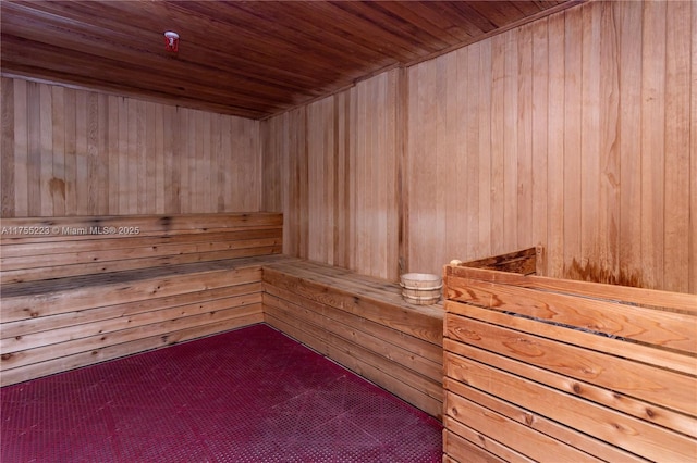 view of sauna with carpet