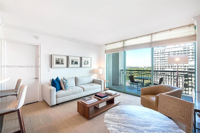 carpeted living area with a wall of windows and ornamental molding