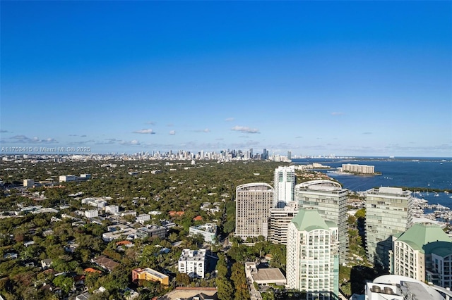 drone / aerial view with a city view