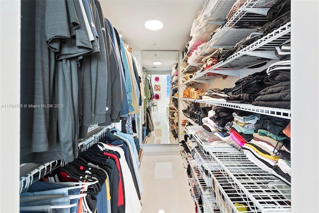 view of spacious closet