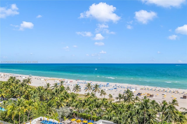 property view of water with a beach view