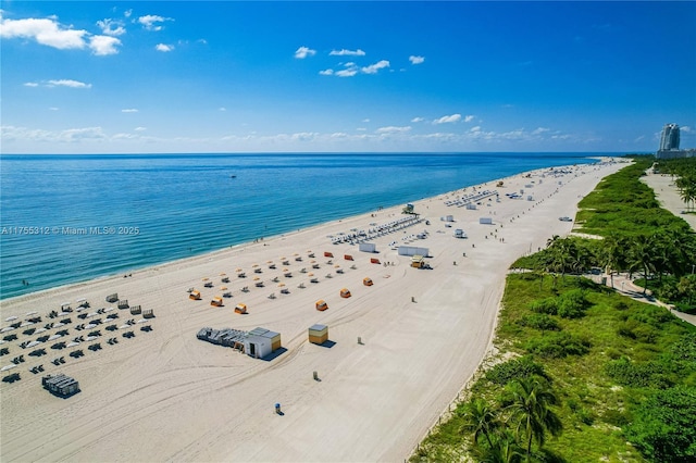 birds eye view of property featuring a water view and a view of the beach