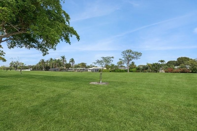 view of community featuring a lawn