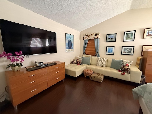 living area with a textured ceiling, vaulted ceiling, and dark wood-style flooring