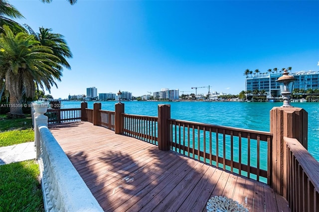 dock area with a water view