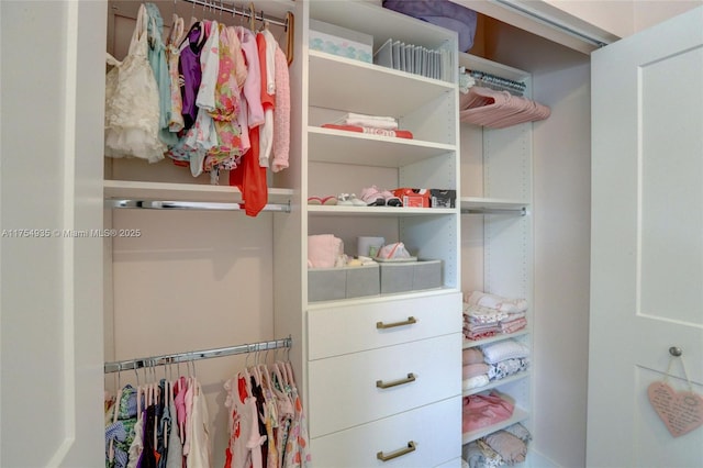 view of closet