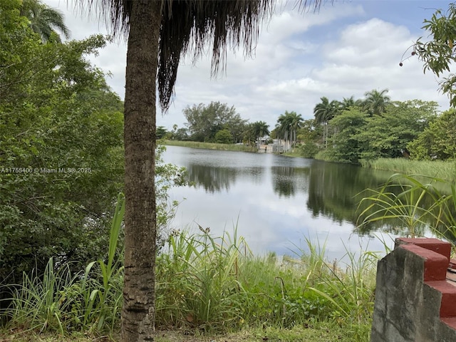 property view of water