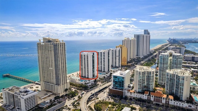 birds eye view of property featuring a city view and a water view