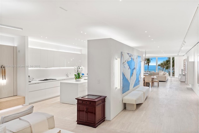 interior space featuring expansive windows, rail lighting, backsplash, and wood finished floors