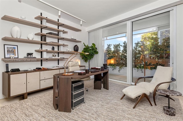 office space featuring rail lighting and plenty of natural light