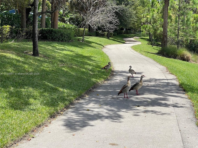 surrounding community with a lawn