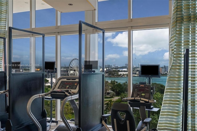 workout area with floor to ceiling windows and plenty of natural light