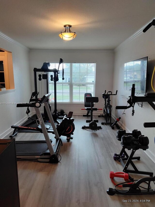 exercise room with wood finished floors, baseboards, and ornamental molding