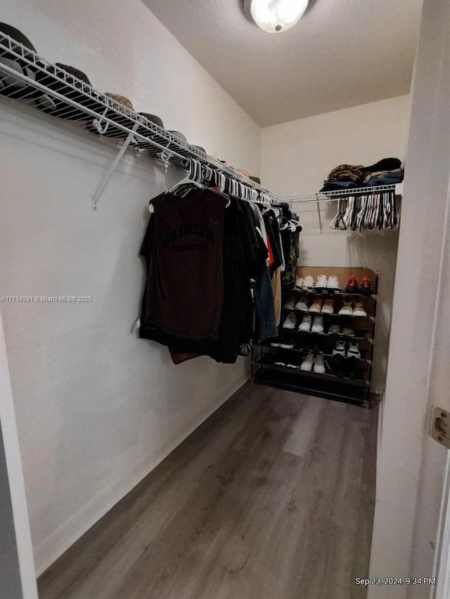 spacious closet featuring wood finished floors