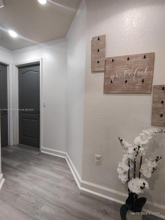 hallway with crown molding, a textured wall, baseboards, and wood finished floors