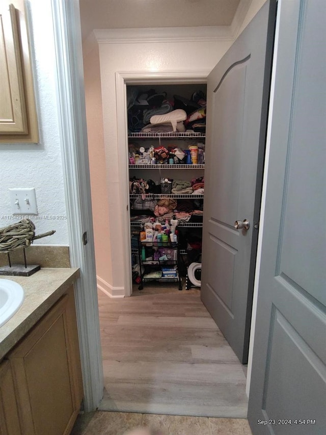 walk in closet with a sink and light wood-style floors