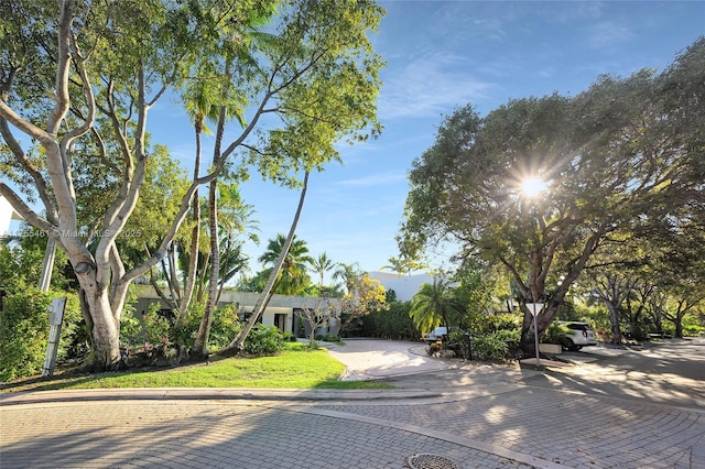 view of front of house with a front yard