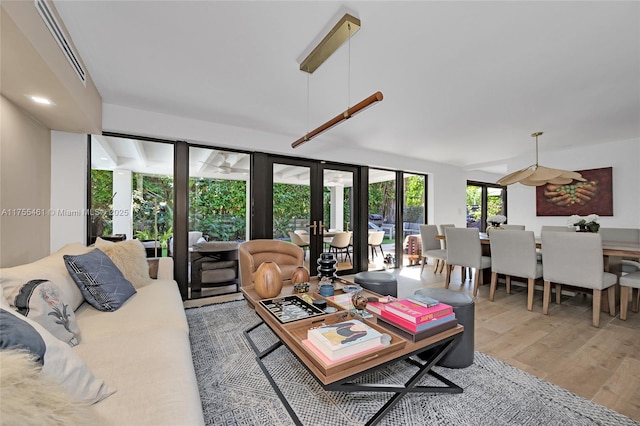 living room featuring french doors and wood finished floors