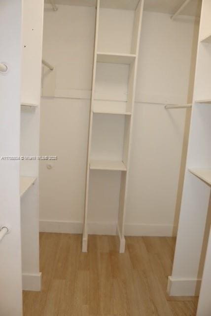 walk in closet featuring light wood finished floors