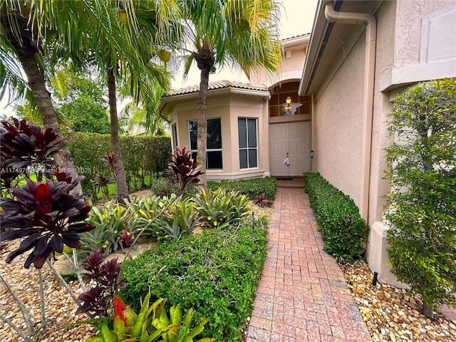 doorway to property with a tile roof and stucco siding