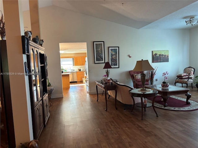 living area featuring high vaulted ceiling and wood finished floors