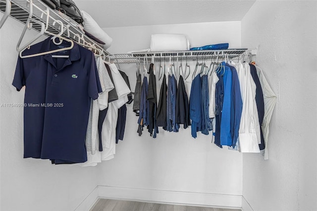 walk in closet featuring wood finished floors