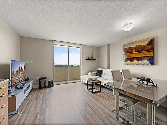 office area featuring a textured ceiling and wood finished floors