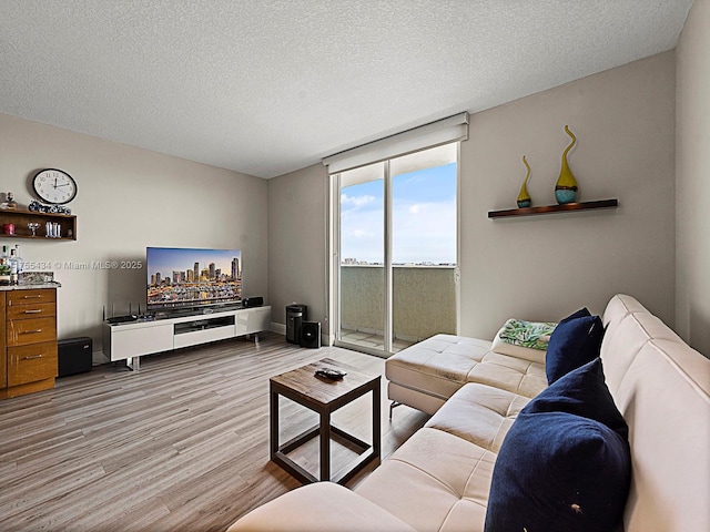 living area featuring a textured ceiling and wood finished floors