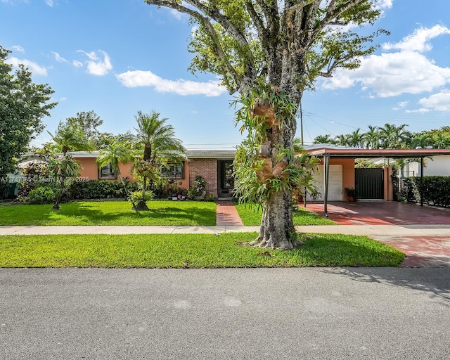 ranch-style home with driveway, a carport, and a front yard